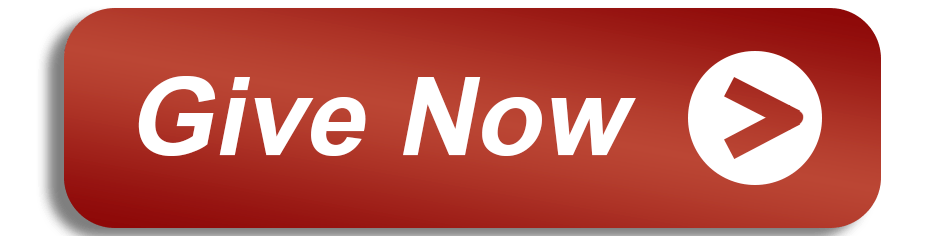 give button